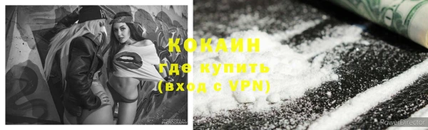 индика Няндома