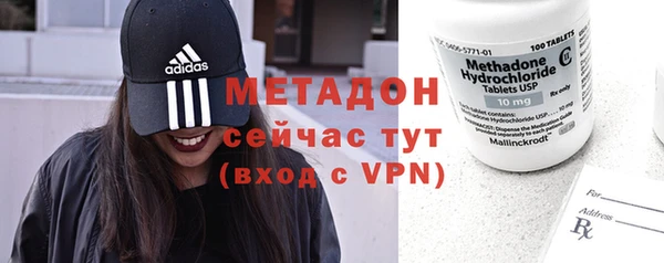 индика Няндома