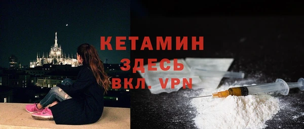 индика Няндома