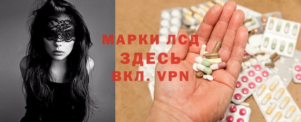 индика Няндома