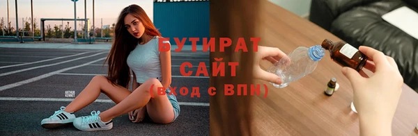 индика Няндома