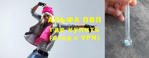 индика Няндома