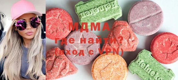 индика Няндома