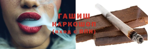 индика Няндома