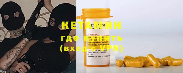 индика Няндома