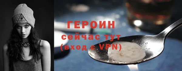 индика Няндома