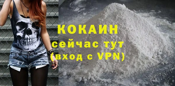 стафф Осташков
