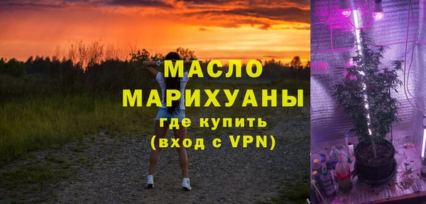 индика Няндома