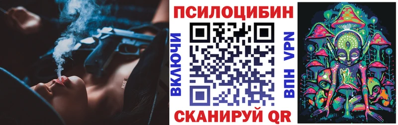 магазин Кудрово Псилоцибиновые грибы ЛСД