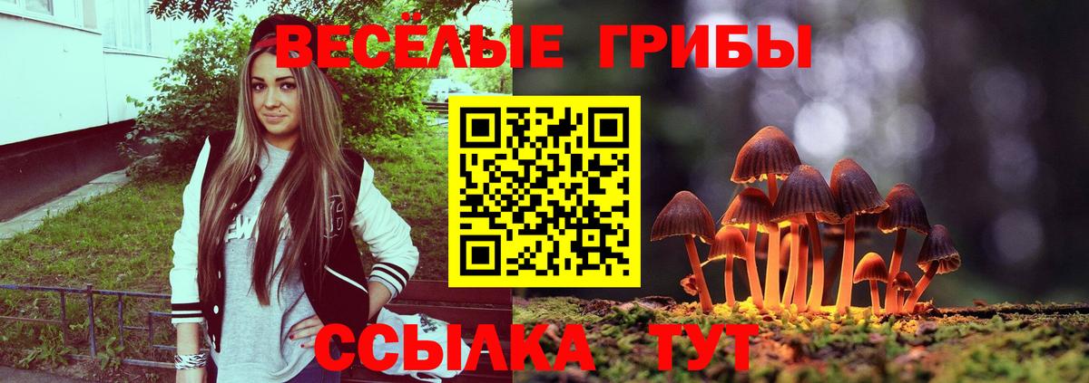Галлюциногенные грибы прущие грибы  Псилоцибиновые грибы Magic Shrooms  Кудрово 